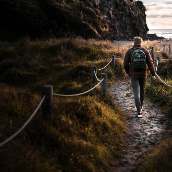 Scenic walking trails around the farm