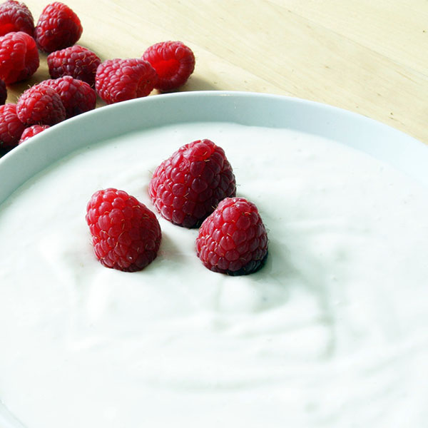 Jars of homemade yoghurt